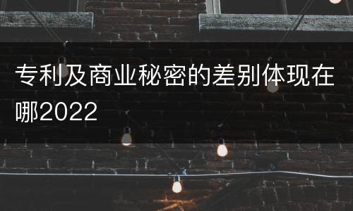 专利及商业秘密的差别体现在哪2022