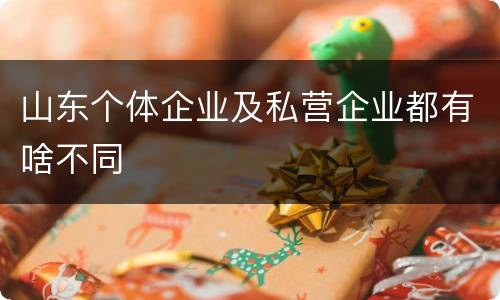 山东个体企业及私营企业都有啥不同