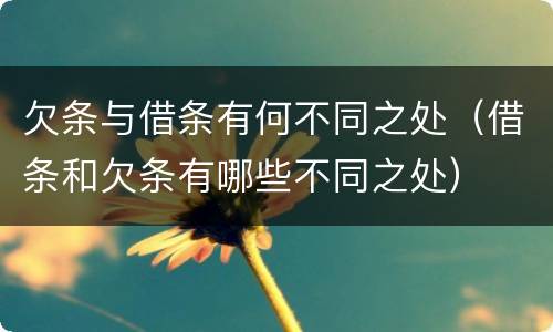欠条与借条有何不同之处（借条和欠条有哪些不同之处）