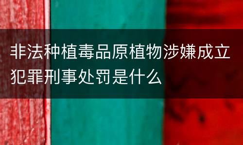 非法种植毒品原植物涉嫌成立犯罪刑事处罚是什么