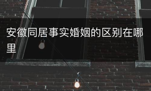 安徽同居事实婚姻的区别在哪里