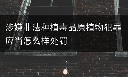 涉嫌非法种植毒品原植物犯罪应当怎么样处罚