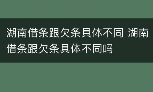 湖南借条跟欠条具体不同 湖南借条跟欠条具体不同吗