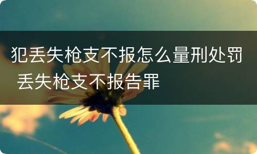 犯丢失枪支不报怎么量刑处罚 丢失枪支不报告罪