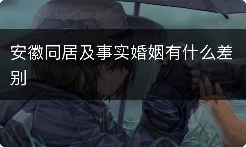 安徽同居及事实婚姻有什么差别