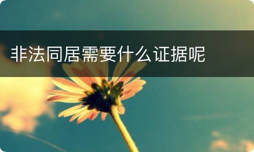 非法同居需要什么证据呢
