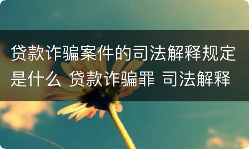 贷款诈骗案件的司法解释规定是什么 贷款诈骗罪 司法解释