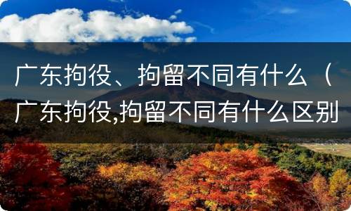 广东拘役、拘留不同有什么（广东拘役,拘留不同有什么区别）