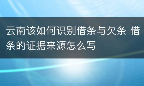云南该如何识别借条与欠条 借条的证据来源怎么写