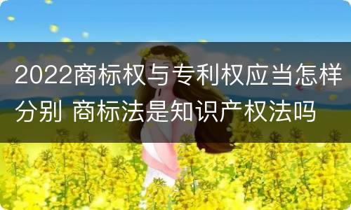 2022商标权与专利权应当怎样分别 商标法是知识产权法吗