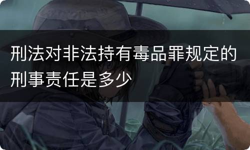 刑法对非法持有毒品罪规定的刑事责任是多少