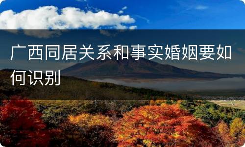 广西同居关系和事实婚姻要如何识别