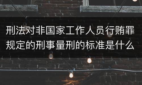 刑法对非国家工作人员行贿罪规定的刑事量刑的标准是什么
