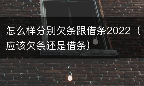 怎么样分别欠条跟借条2022（应该欠条还是借条）