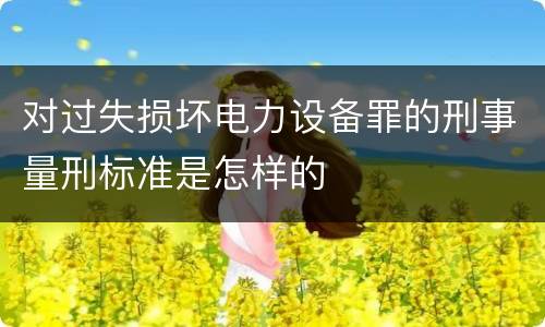 对过失损坏电力设备罪的刑事量刑标准是怎样的