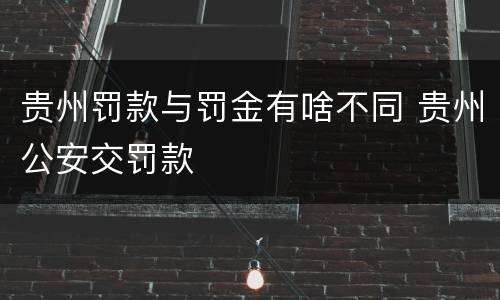 贵州罚款与罚金有啥不同 贵州公安交罚款