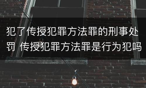 犯了传授犯罪方法罪的刑事处罚 传授犯罪方法罪是行为犯吗