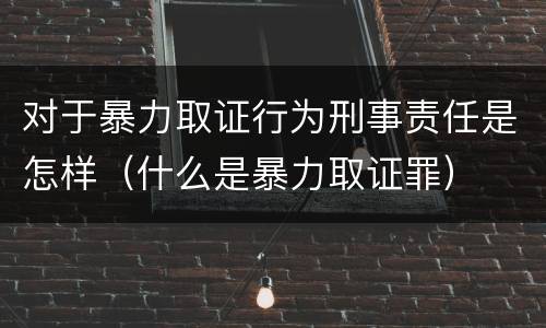 对于暴力取证行为刑事责任是怎样（什么是暴力取证罪）