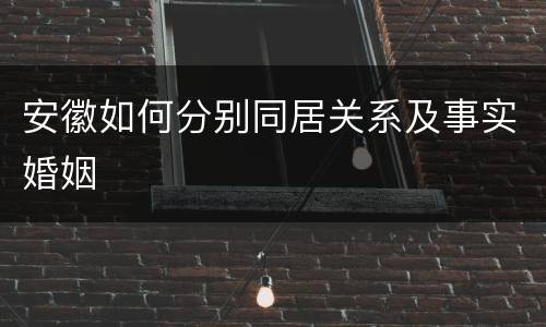 安徽如何分别同居关系及事实婚姻