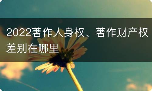 2022著作人身权、著作财产权差别在哪里