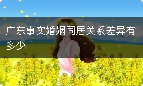 广东事实婚姻同居关系差异有多少