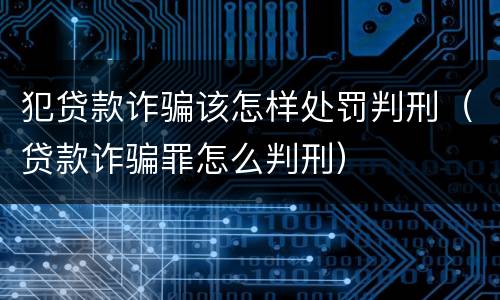 犯贷款诈骗该怎样处罚判刑（贷款诈骗罪怎么判刑）