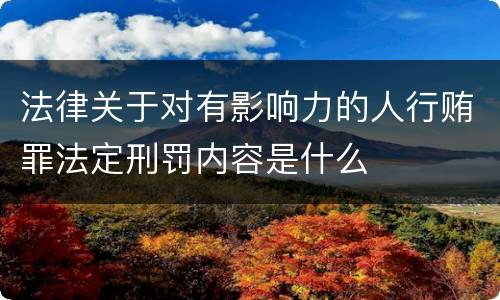 法律关于对有影响力的人行贿罪法定刑罚内容是什么