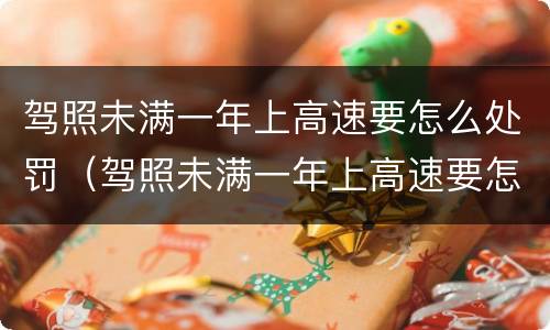驾照未满一年上高速要怎么处罚（驾照未满一年上高速要怎么处罚呢）