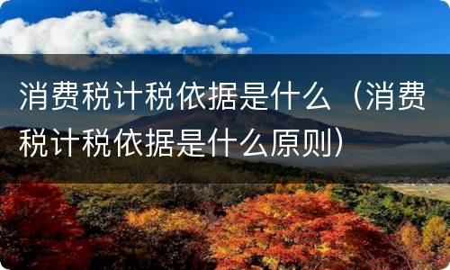 消费税计税依据是什么（消费税计税依据是什么原则）