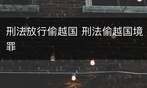 刑法放行偷越国 刑法偷越国境罪