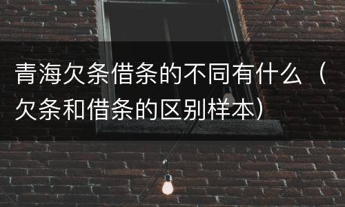 青海欠条借条的不同有什么（欠条和借条的区别样本）