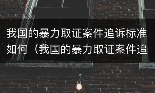 我国的暴力取证案件追诉标准如何（我国的暴力取证案件追诉标准如何制定）