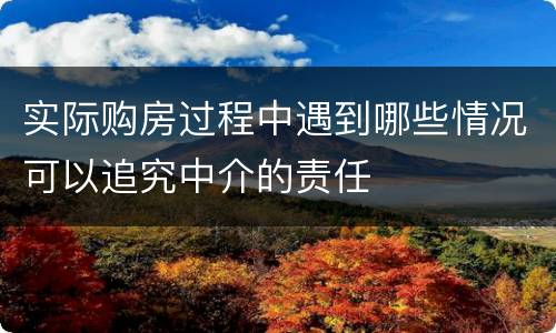 实际购房过程中遇到哪些情况可以追究中介的责任