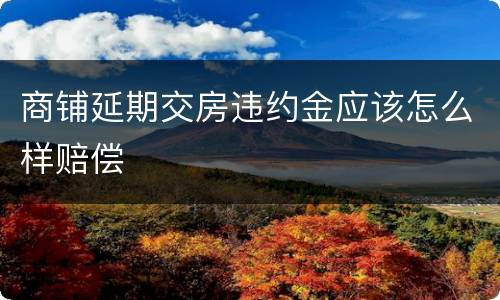 商铺延期交房违约金应该怎么样赔偿