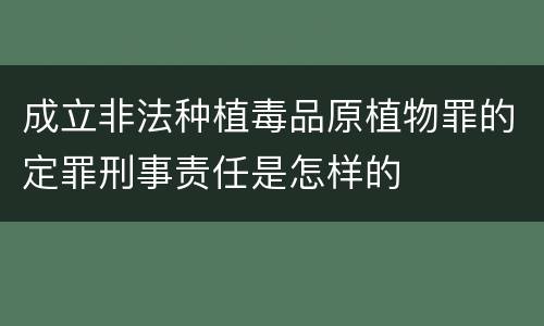 成立非法种植毒品原植物罪的定罪刑事责任是怎样的