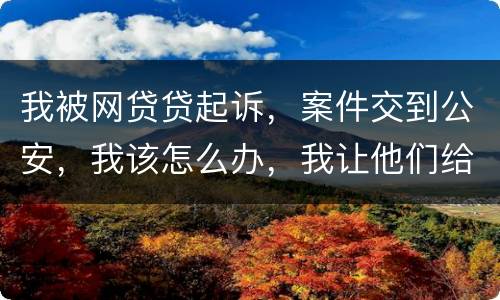 我被网贷贷起诉，案件交到公安，我该怎么办，我让他们给我的亲人道歉