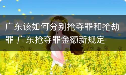 广东该如何分别抢夺罪和抢劫罪 广东抢夺罪金额新规定