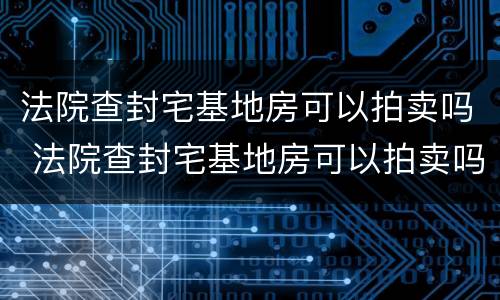 法院查封宅基地房可以拍卖吗 法院查封宅基地房可以拍卖吗