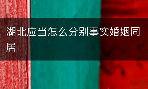 湖北应当怎么分别事实婚姻同居