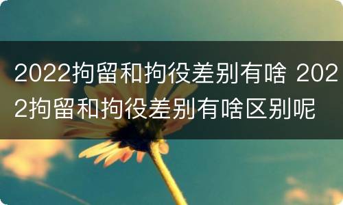 2022拘留和拘役差别有啥 2022拘留和拘役差别有啥区别呢
