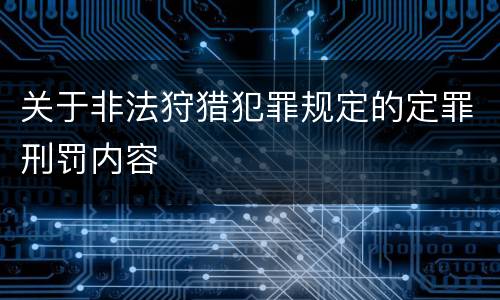 关于非法狩猎犯罪规定的定罪刑罚内容