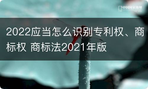 2022应当怎么识别专利权、商标权 商标法2021年版