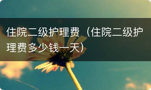 住院二级护理费（住院二级护理费多少钱一天）