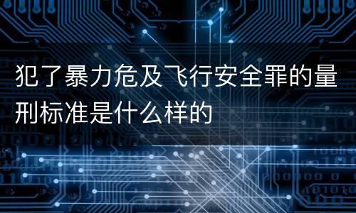犯了暴力危及飞行安全罪的量刑标准是什么样的