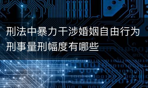 刑法中暴力干涉婚姻自由行为刑事量刑幅度有哪些