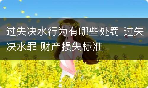 过失决水行为有哪些处罚 过失决水罪 财产损失标准