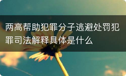 两高帮助犯罪分子逃避处罚犯罪司法解释具体是什么