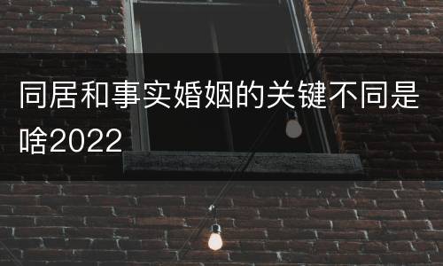 同居和事实婚姻的关键不同是啥2022