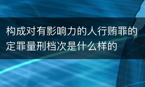 构成对有影响力的人行贿罪的定罪量刑档次是什么样的