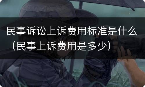 民事诉讼上诉费用标准是什么（民事上诉费用是多少）